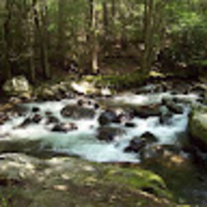 Meet your Posher, Evelyn